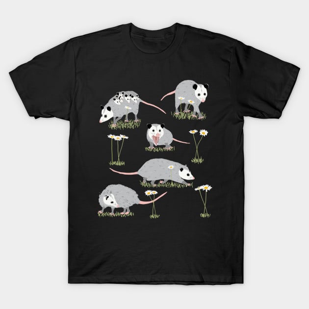 Opossums and Daisies T-Shirt by ahadden